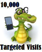10,000 Targeted Visitors 10,000 Targeted Visitors