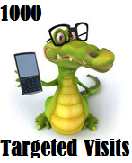 1000 Targeted Visitors 1000 Targeted Visitors
