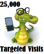 25,000 Targeted Visitors 25,000 Targeted Visitors