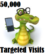 50,000 Targeted Visitors 50,000 Targeted Visitors