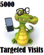 5000 Targeted Visitors 5000 Targeted Visitors