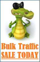 Bulk Traffic SALE TODAY Bulk Traffic SALE TODAY